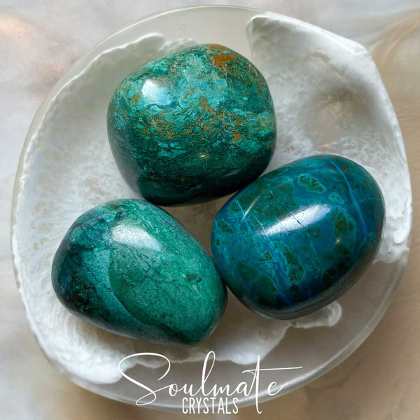 Chrysocolla Tumbled Stone Xl Plus Grade Aa Soulmate Crystals