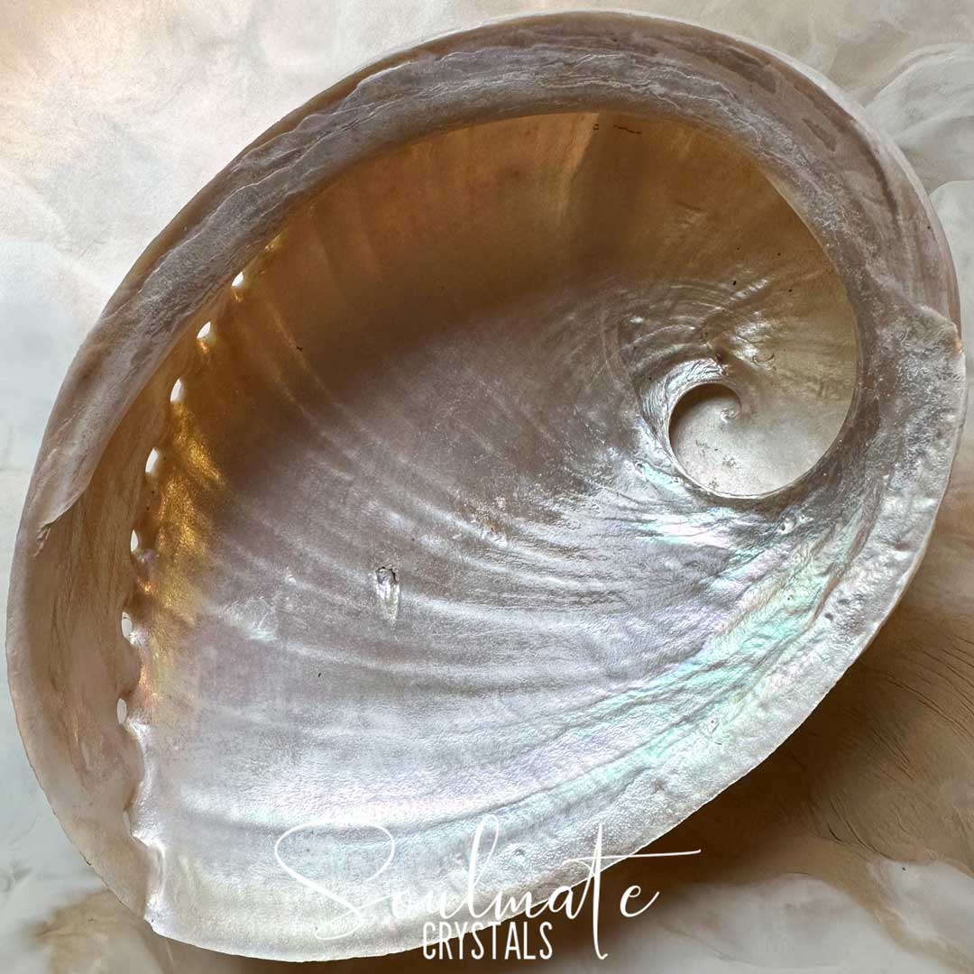 Soulmate Crystals Abalone Shell Natural Pearlescent 2XL King Island Australia for Sacred Space, Smoke Cleansing Rituals, Crystal Trinket Dish. A natural abalone shell with iridescent pearly tones, photographed close-up on a soft white background. A white script watermark reading 'Soulmate Crystals' is overlaid near the bottom.