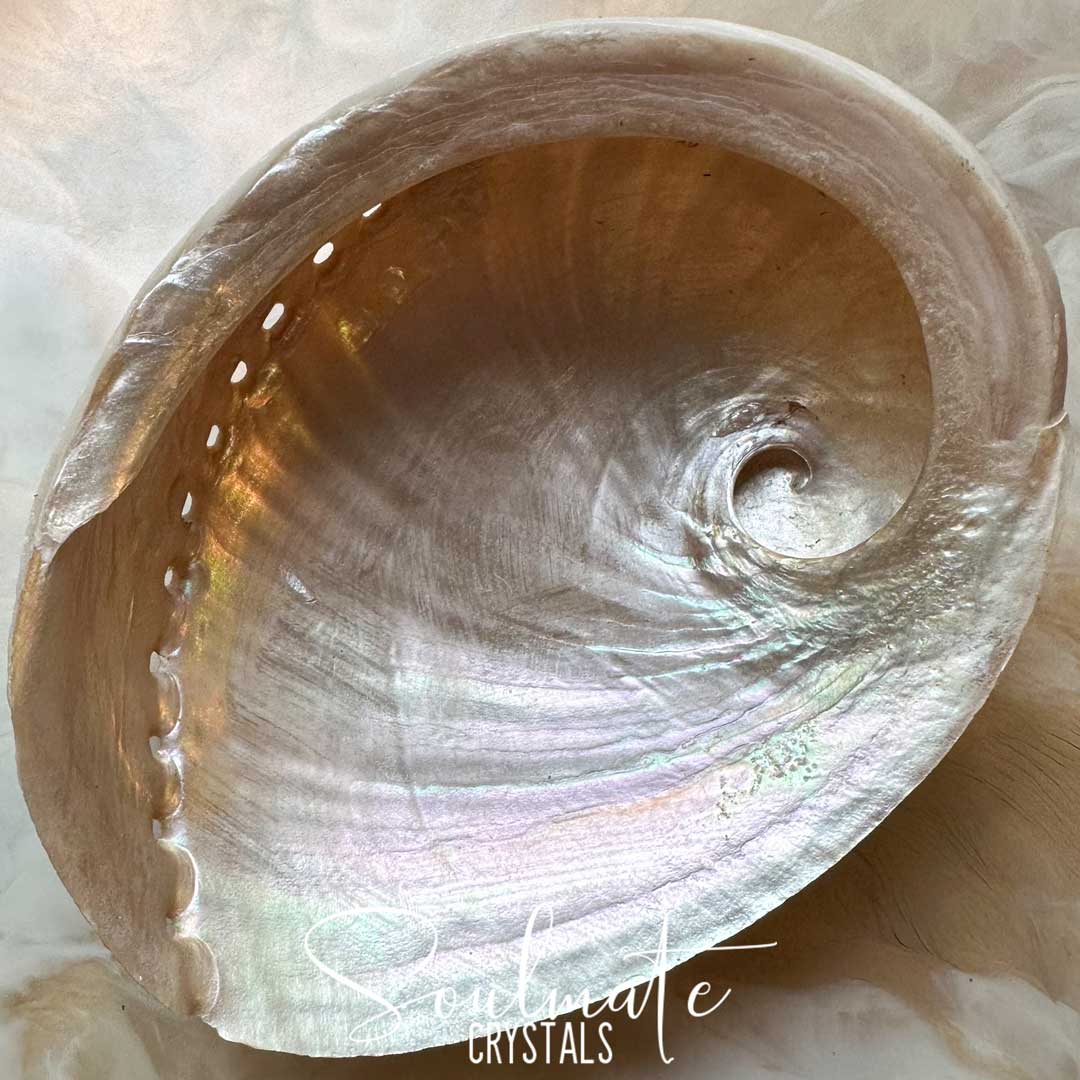 Soulmate Crystals Abalone Shell Natural Pearlescent 2XL King Island Australia for Sacred Space, Smoke Cleansing Rituals, Crystal Trinket Dish. A natural abalone shell with iridescent pearly tones, photographed close-up on a soft white background. A white script watermark reading 'Soulmate Crystals' is overlaid near the bottom.