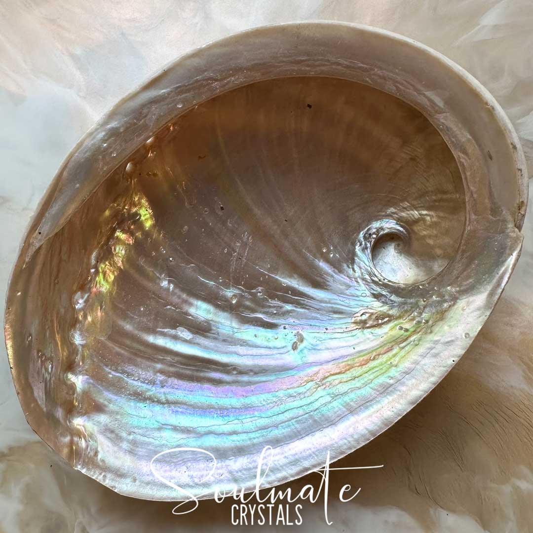 Soulmate Crystals Abalone Shell Natural Striped 2XL King Island Australia for Sacred Space, Smoke Cleansing Rituals, Crystal Trinket Dish. A natural abalone shell with iridescent pearly tones, photographed close-up on a soft white background. A white script watermark reading 'Soulmate Crystals' is overlaid near the bottom.