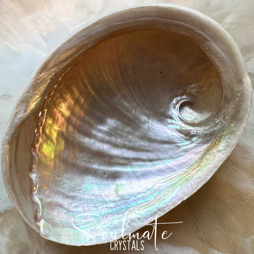 Soulmate Crystals Abalone Shell Natural Striped 2XL King Island Australia for Sacred Space, Smoke Cleansing Rituals, Crystal Trinket Dish. A natural abalone shell with iridescent pearly tones, photographed close-up on a soft white background. A white script watermark reading 'Soulmate Crystals' is overlaid near the bottom.