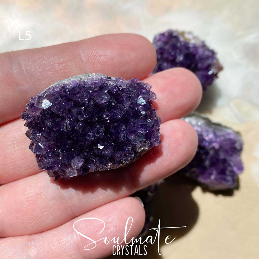 Soulmate Crystals Amethyst Raw Natural Mini Crystal Cluster, Purple Crystal Cluster for Calm, Serenity and Reduce Anxiety, Brazil, Extra Extra Quality Grade