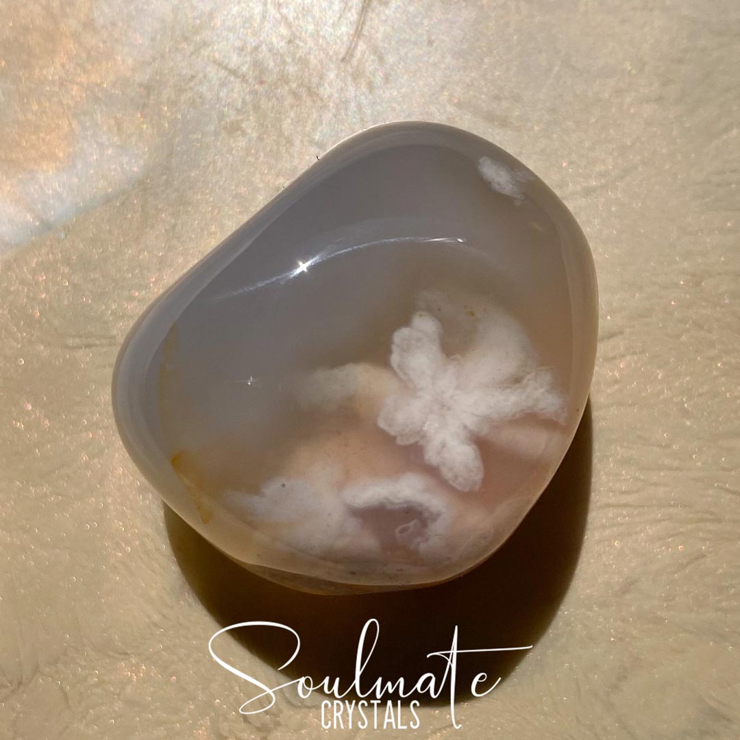 Soulmate Crystals Agate Blossom Flower Agate, Milky Taupe crystal for Conscious Expansion, Nurturing, Encouragement, Transformation.