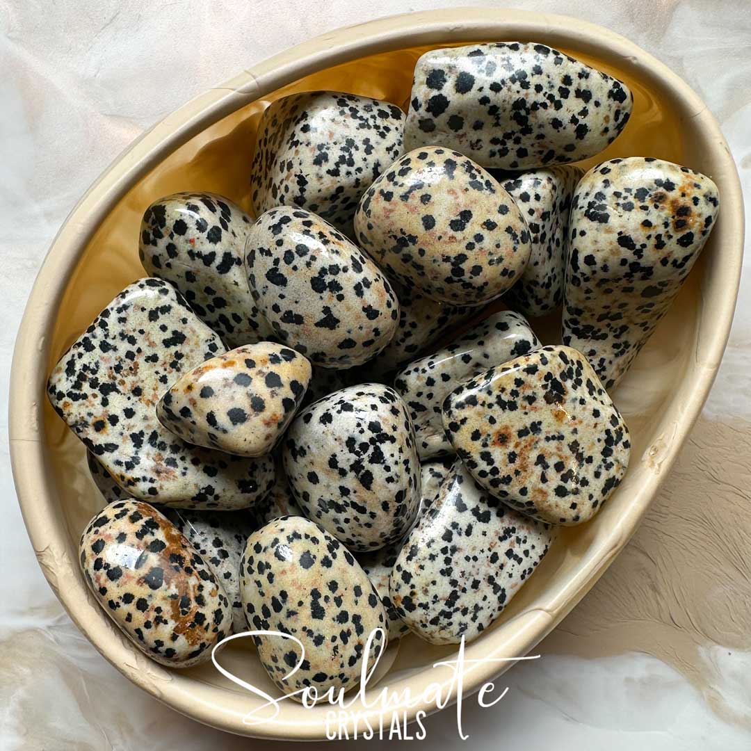 Soulmate Crystals Dalmation Arfvedsonite Tumbled Stone, Cream, Beige Polished Stone with Black Spots, Neutral Light Brown Rock, Crystal for Emotional Wellbeing, Stability, Balance, Grounding, Calming, Nuturing, Joy.