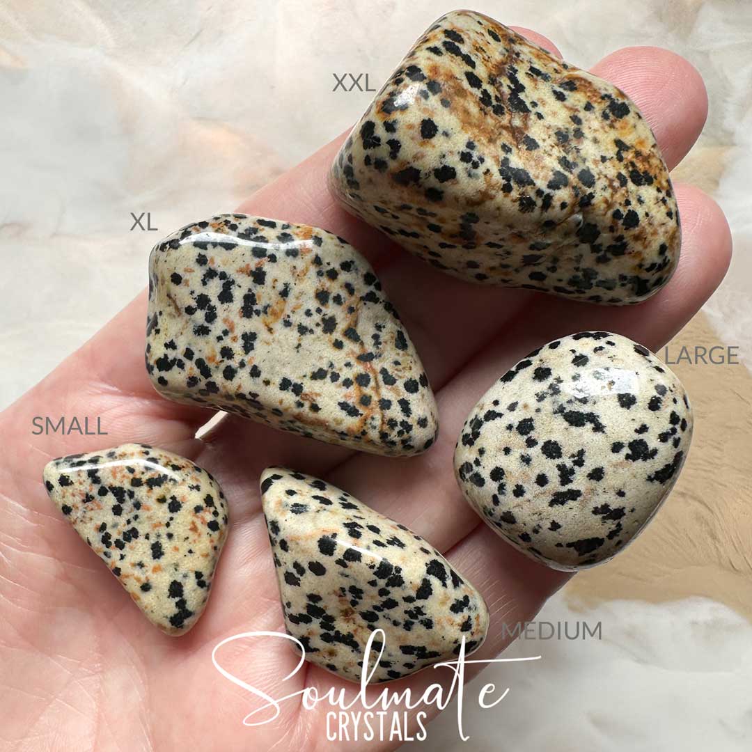 Soulmate Crystals Dalmation Arfvedsonite Tumbled Stone, Cream, Beige Polished Stone with Black Spots, Neutral Light Brown Rock, Crystal for Emotional Wellbeing, Stability, Balance, Grounding, Calming, Nuturing, Joy.