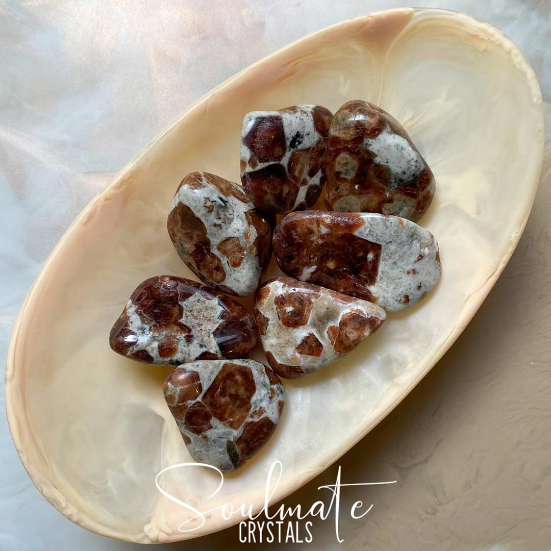 Soulmate Crystals Garnet Spessartine Limestone Rare Tumbled Stone, Earthy Limestone Studded Orange Garnet Spessartine Stone for enhancing Spiritual Growth, Calm, Release.