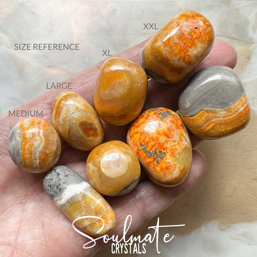 Soulmate Crystals Jasper Bumblebee Eclipse Tumbled Stone, Vibrant Yellow Marigold Crystal, Black-Grey Banded Patterning for Manifestation Self-Esteem, Motivation, Transformation, New Opportunities, Creativity.