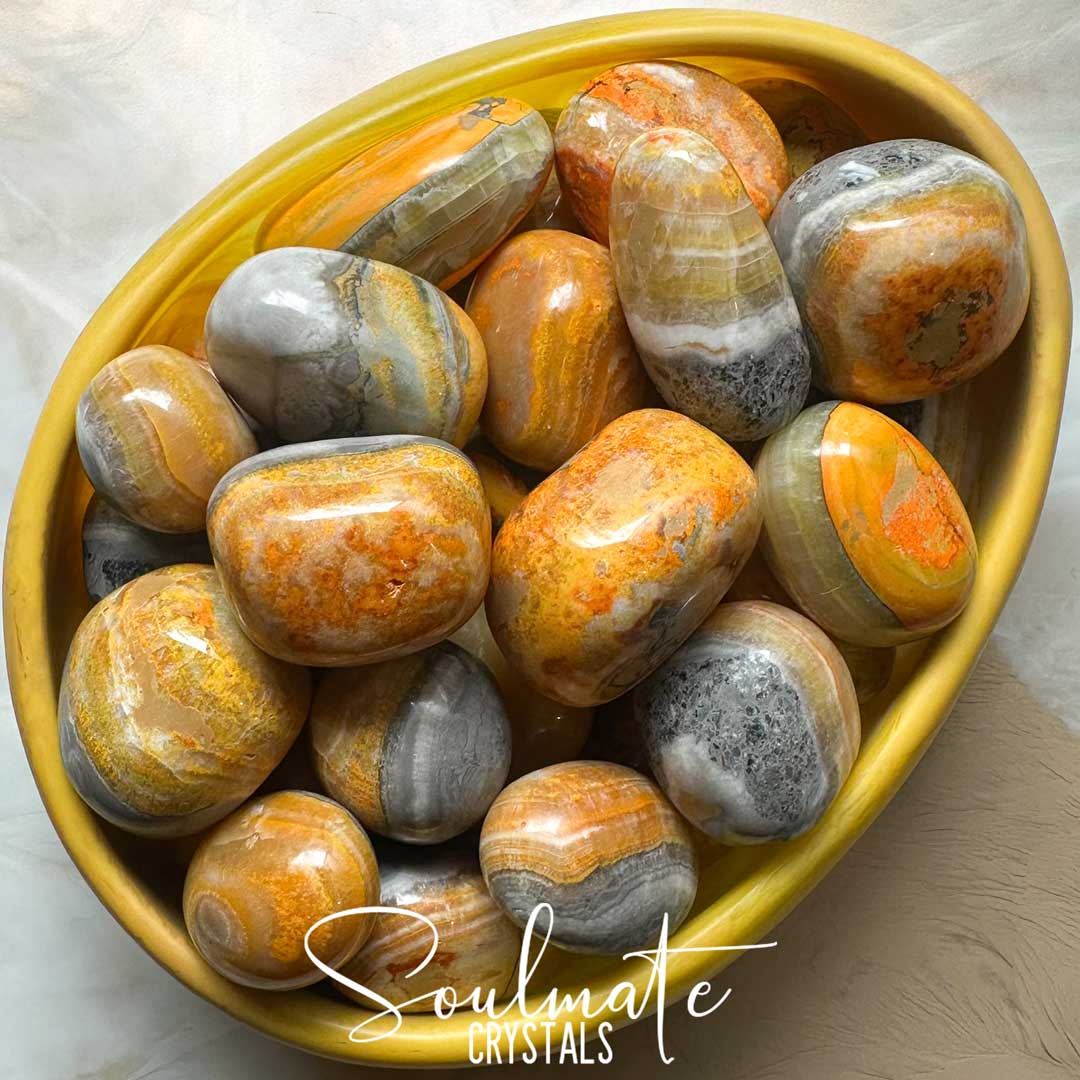 Soulmate Crystals Jasper Bumblebee Eclipse Tumbled Stone, Vibrant Yellow Marigold Crystal, Black-Grey Banded Patterning for Manifestation Self-Esteem, Motivation, Transformation, New Opportunities, Creativity.