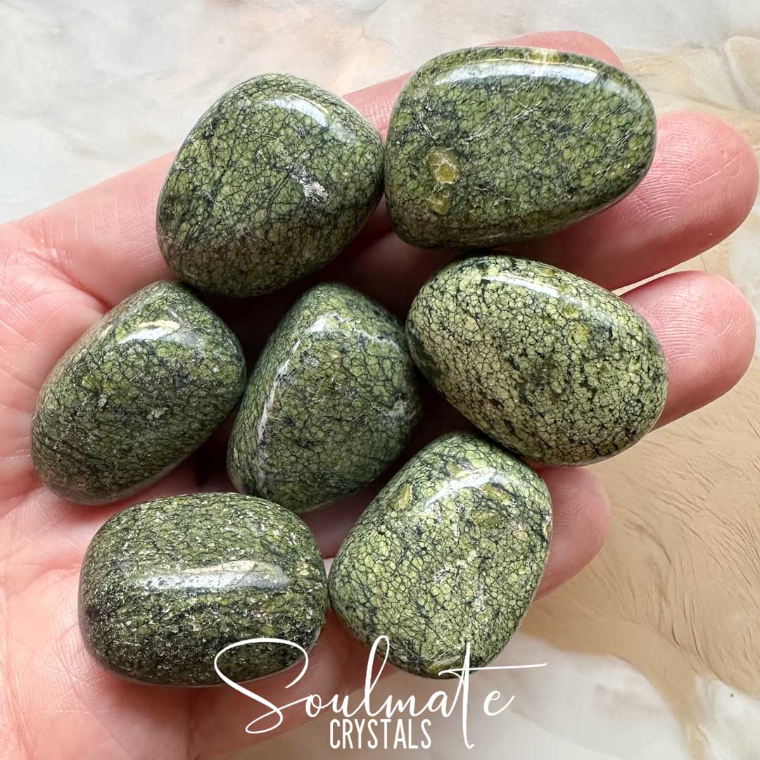 Soulmate Crystals Jasper Snakeskin Green Tumbled Stone, Green Crystal for Grounding, Balance, Emotional Wellbeing, Protection, Harmony, Stability.