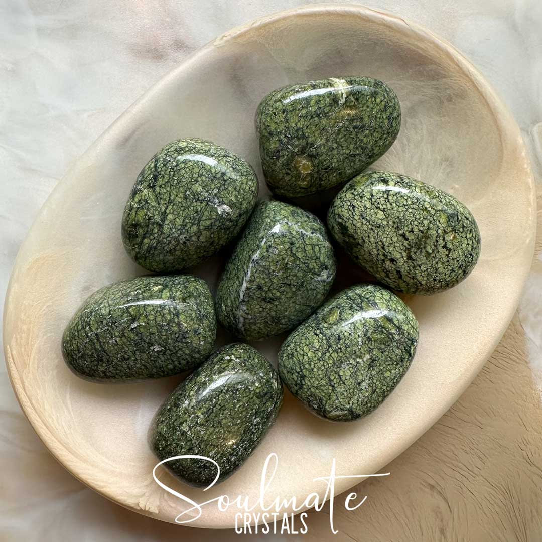 Soulmate Crystals Jasper Snakeskin Green Tumbled Stone, Green Crystal for Grounding, Balance, Emotional Wellbeing, Protection, Harmony, Stability.