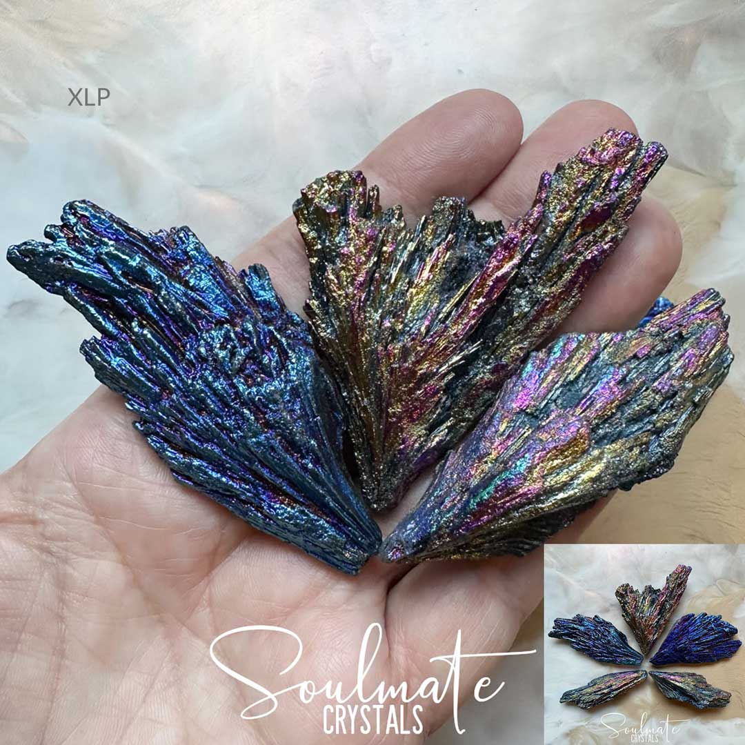 Soulmate Crystals Kyanite Black Titanium Aura Raw Natural Stone, Rainbow Metallic Titanium Bonded Blades of Black Kyanite, Cobalt Blue, Fuchsia Pink, Gold crystal for Protection, Balance, Vitality, Energetic Shielding, Guarding, Fortitude, Relationships, Third Eye Activation, Spiritual Development, Grounded Harmony, Negative Energy Banishment, Witches Broom.