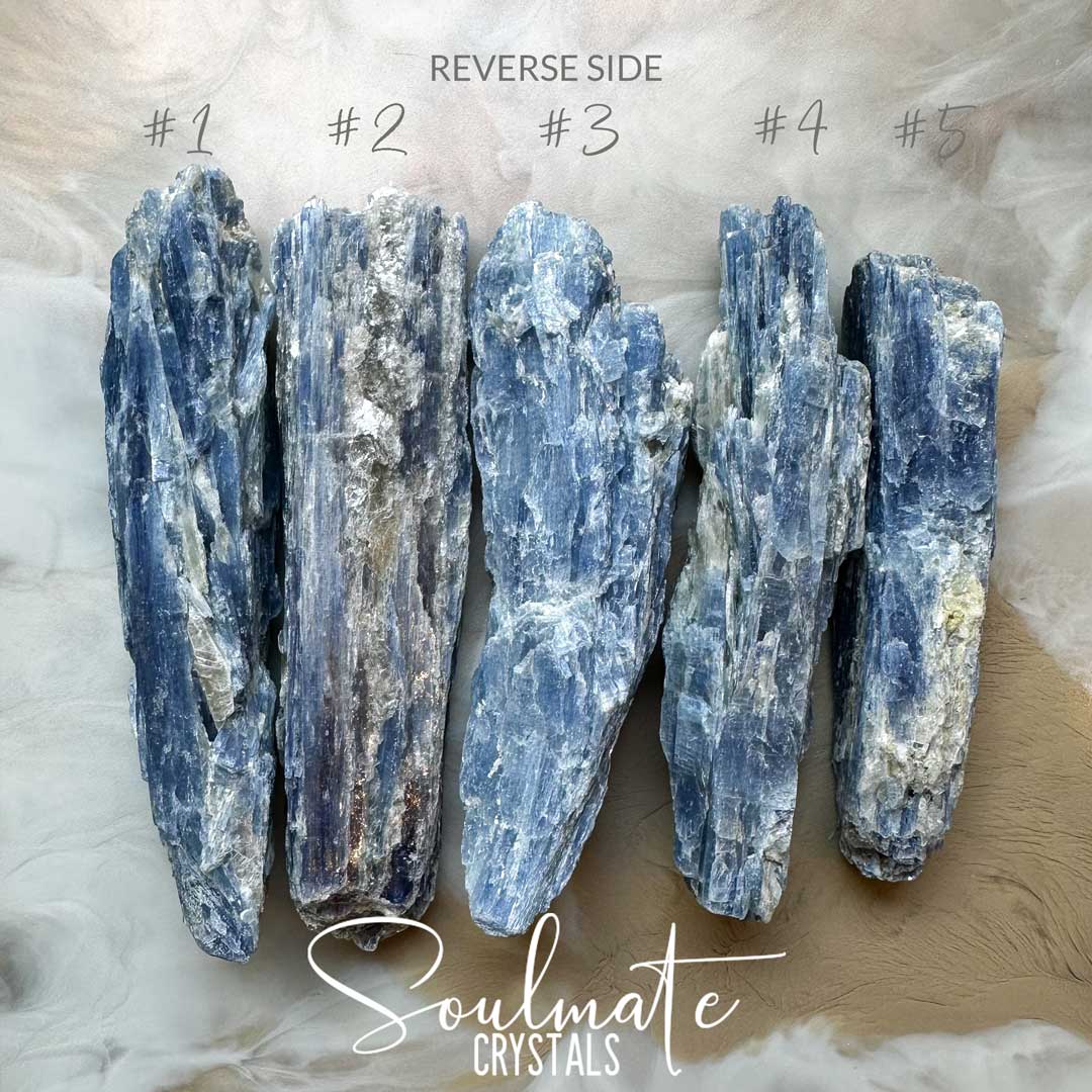 Soulmate Crystals Blue Kyanite Raw Natural Crystal Mineral Specimen, Blue Crystal for Communication, Harmony and Flow