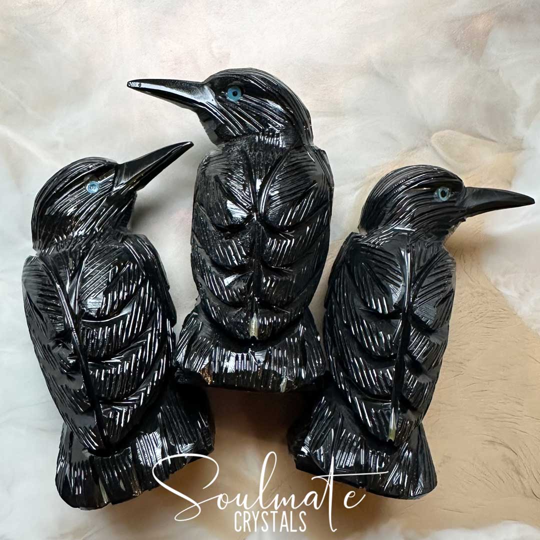 Soulmate Crystals Black Onyx Raven Carved Crystal Bird Statue Figurine, Polished Black Crystal for Protection, Strength and Grounding