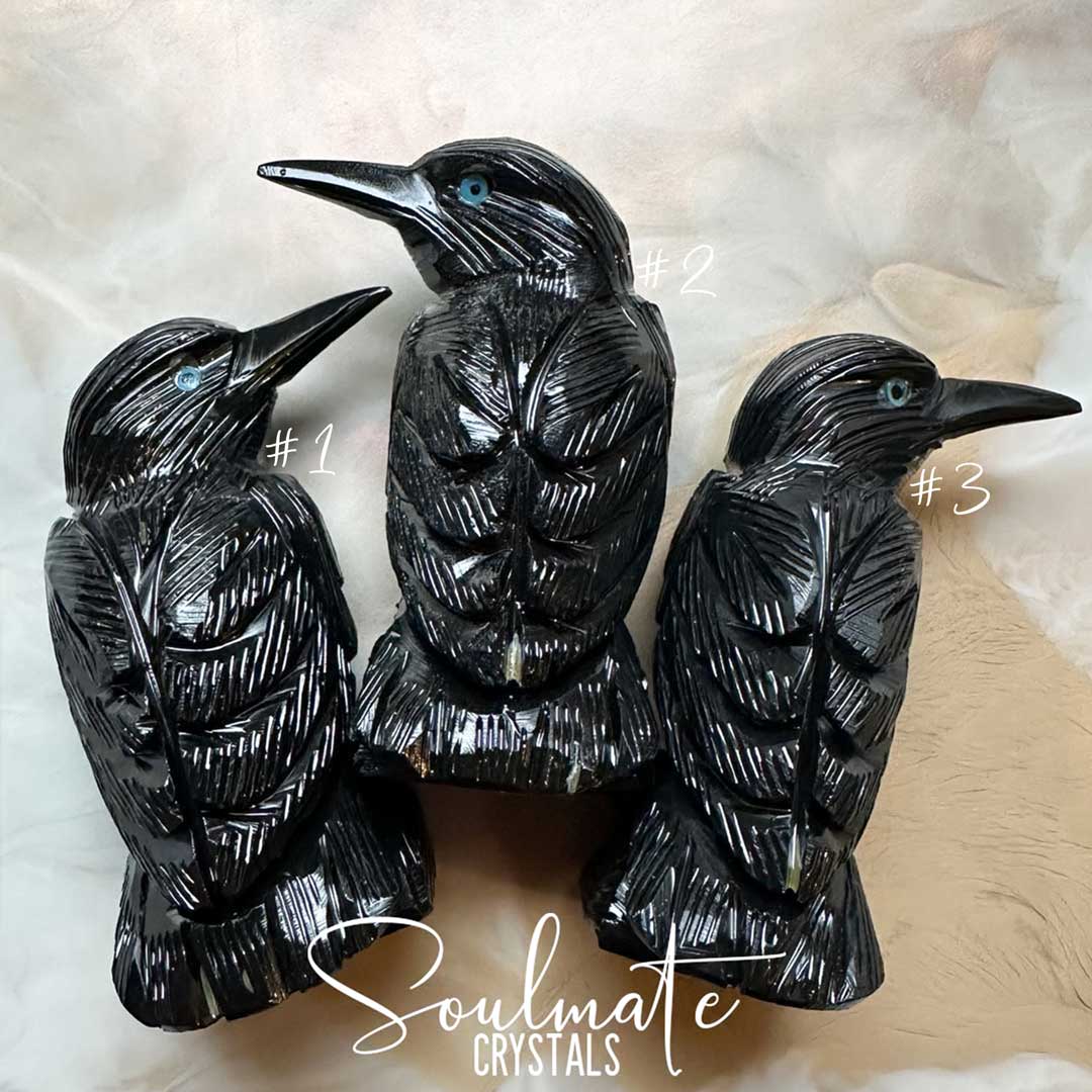 Soulmate Crystals Black Onyx Raven Carved Crystal Bird Statue Figurine, Polished Black Crystal for Protection, Strength and Grounding