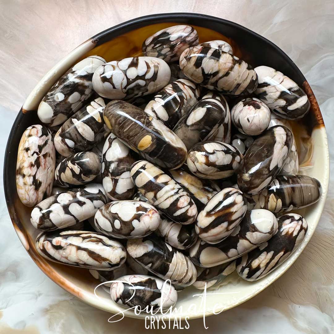 Soulmate Crystals Peanut Wood Rare Polished Crystal Shiva Lingam, Cream, Brown Crystal for Calming, Grounding, Stabilising, Protection, Australian Petrified Wood.