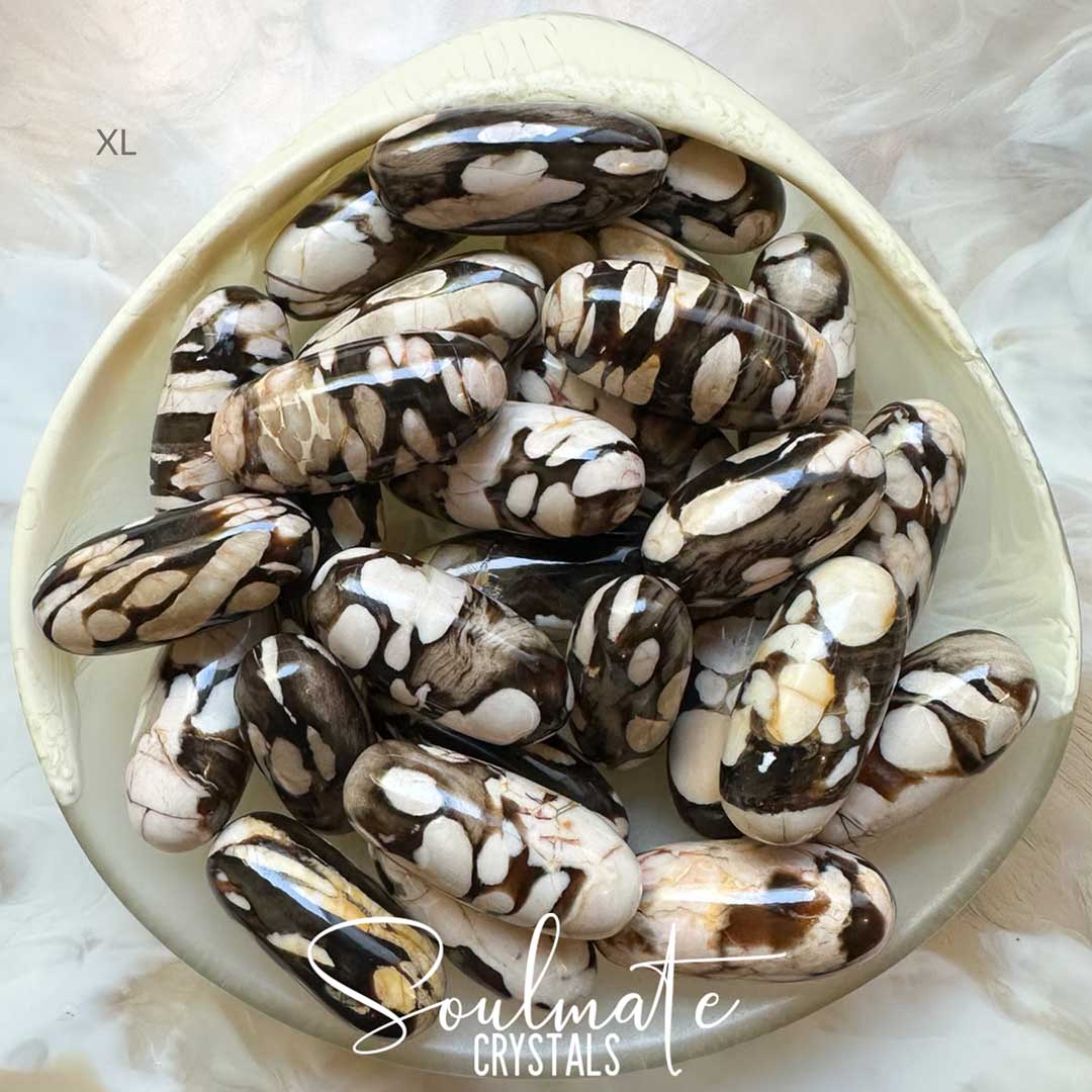 Soulmate Crystals Peanut Wood Rare Polished Crystal Shiva Lingam, Cream, Brown Crystal for Calming, Grounding, Stabilising, Protection, Australian Petrified Wood.