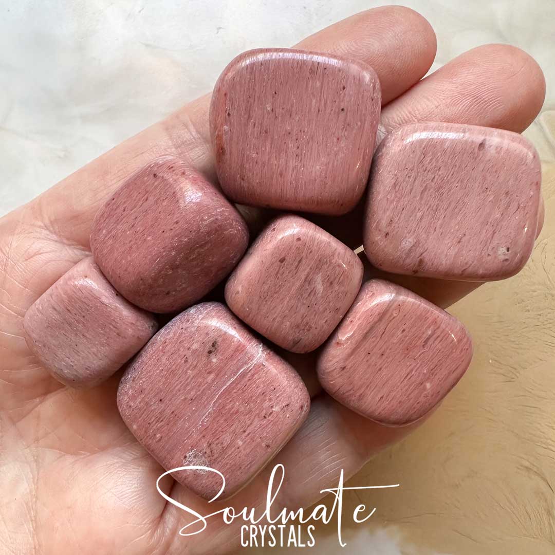 Soulmate Crystals Petrified Wood Pink India Tumbled Stone, Dusty Pink Crystal for Compassion, Love, Protection, Ancient Wisdom, Emotional Wellbeing.
