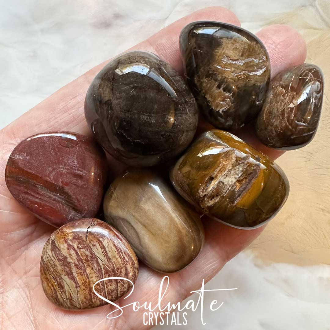Soulmate Crystals Petrified Wood Tumbled Stone, Mixed Brown, Yellow, Red, Grey Crystal for Grounding, Stability, Ancient Wisdom.