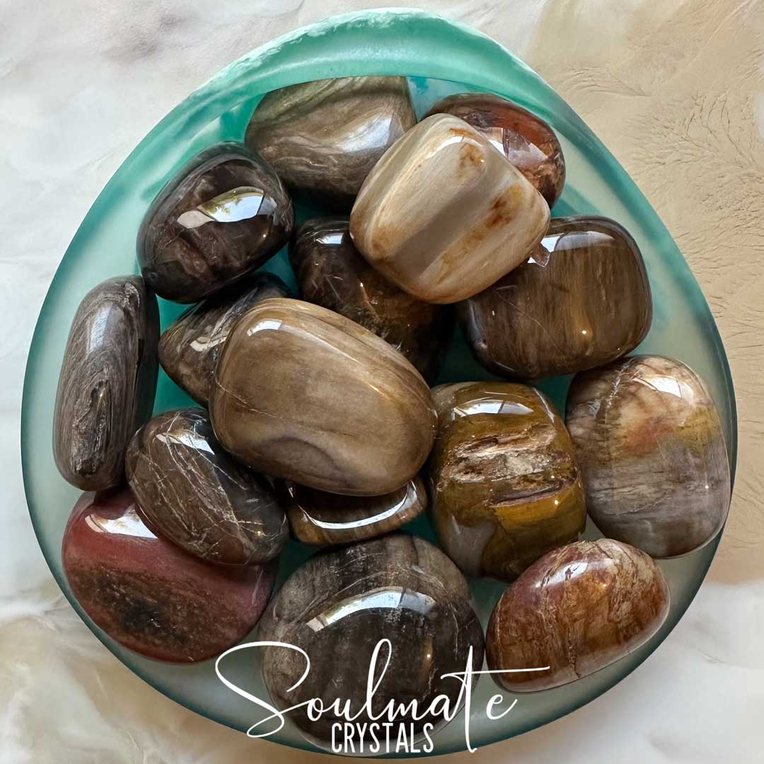 Soulmate Crystals Petrified Wood Tumbled Stone, Mixed Brown, Yellow, Red, Grey Crystal for Grounding, Stability, Ancient Wisdom.