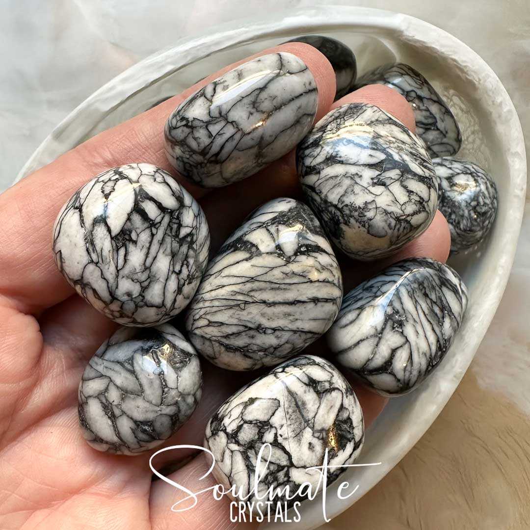 Soulmate Crystals Pinolith Tumbled Stone, Black and White Patterned Crystal for Wisdom, Spiritual Growth, Transformation.