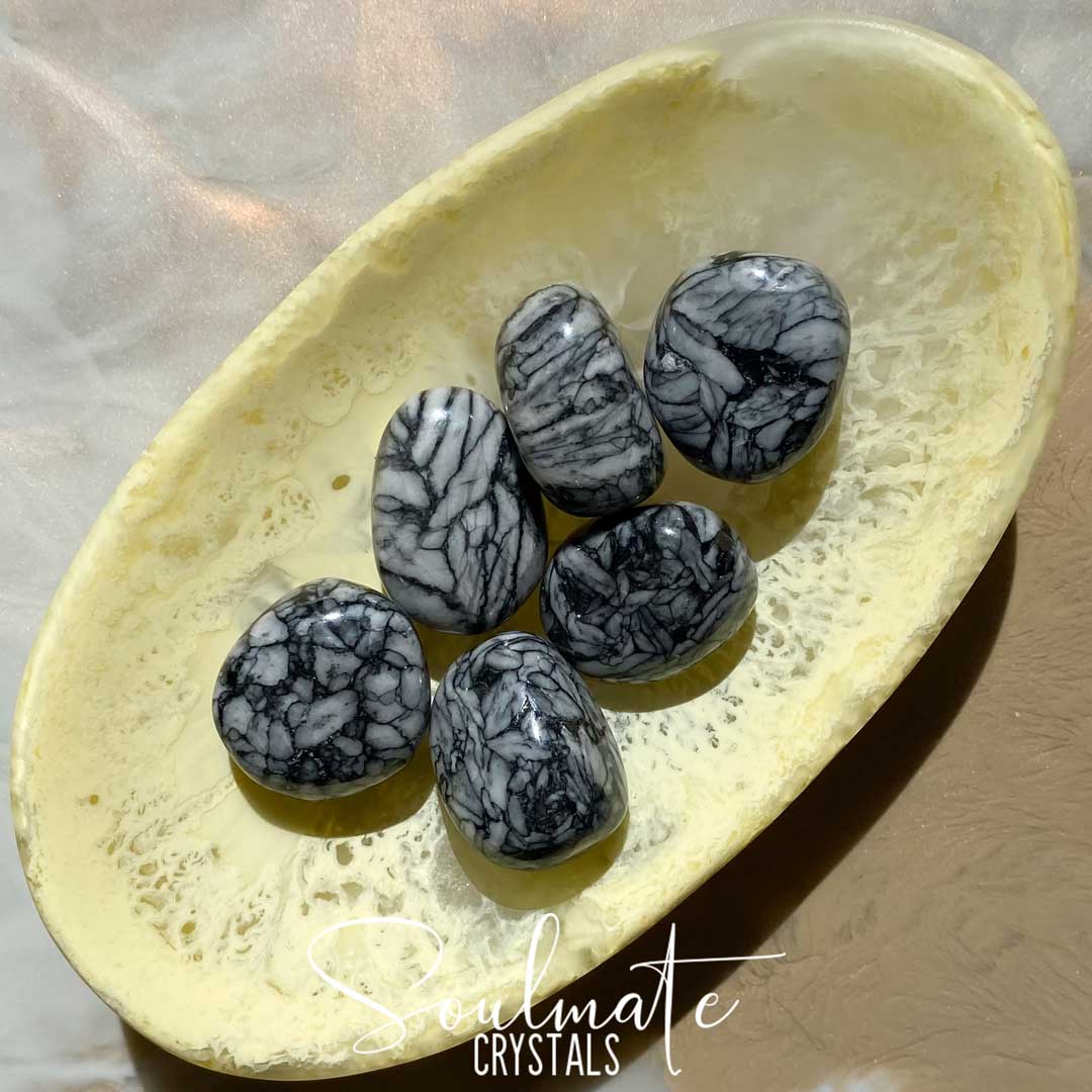 Soulmate Crystals Pinolith Tumbled Stone, Black and White Patterned Crystal for Wisdom, Spiritual Growth, Transformation.