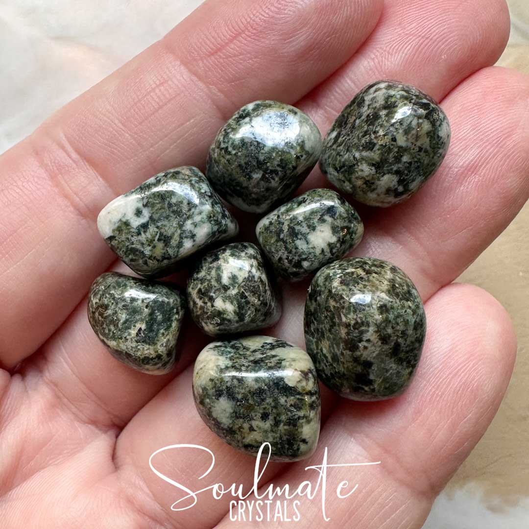 Soulmate Crystals Preseli Bluestone Tumbled Stone, White Speckled Green Crystal for Ancestral Wisdom, Past Life, Balance, Grounding, Stonehenge Crystal, Rare Mineral Specimen