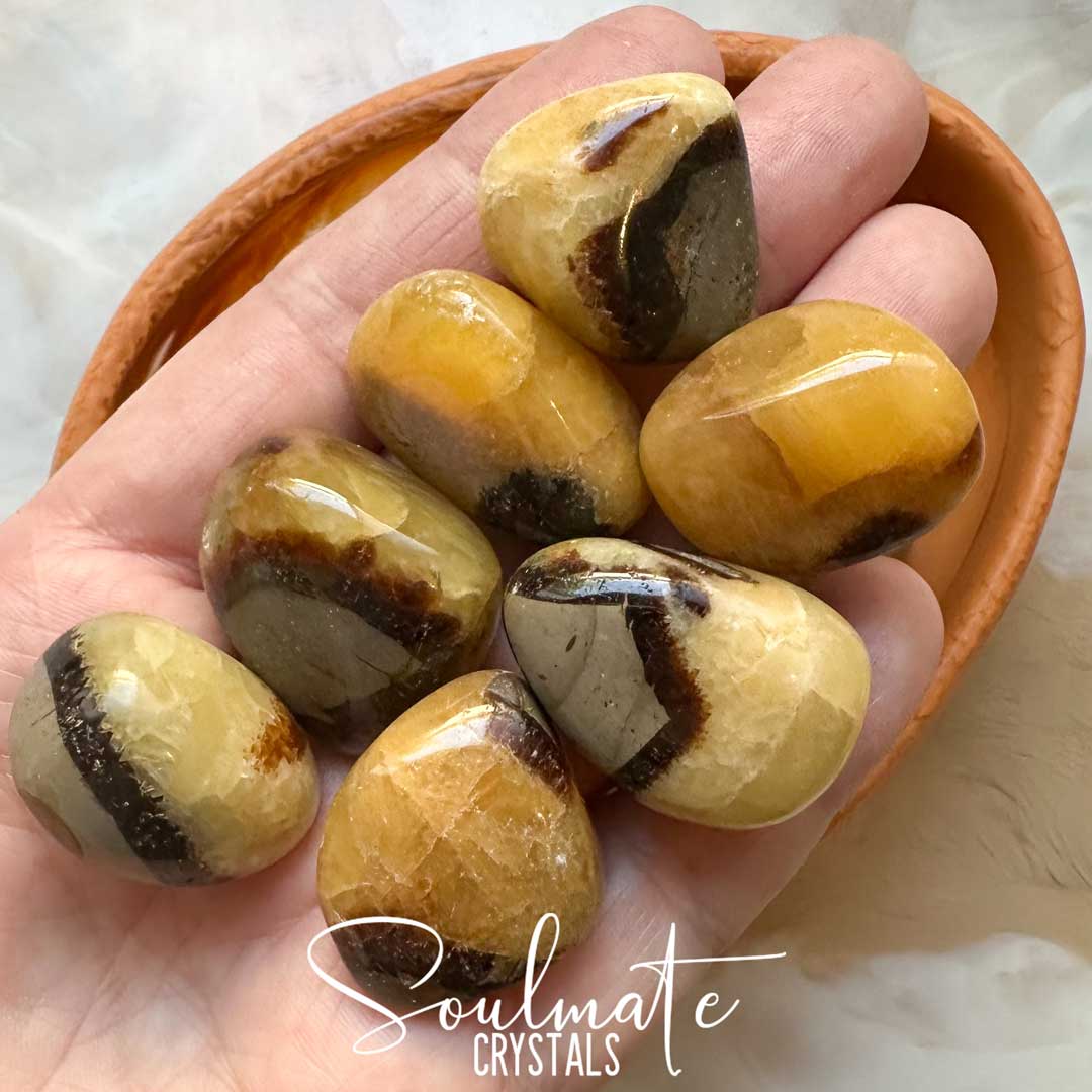 Soulmate Crystals Septarian Nodule Tumbled Stone, Yellow Crystal Brown Patterning for Emotional Wellbeing, Self-Kindness, Protection, Comfort.