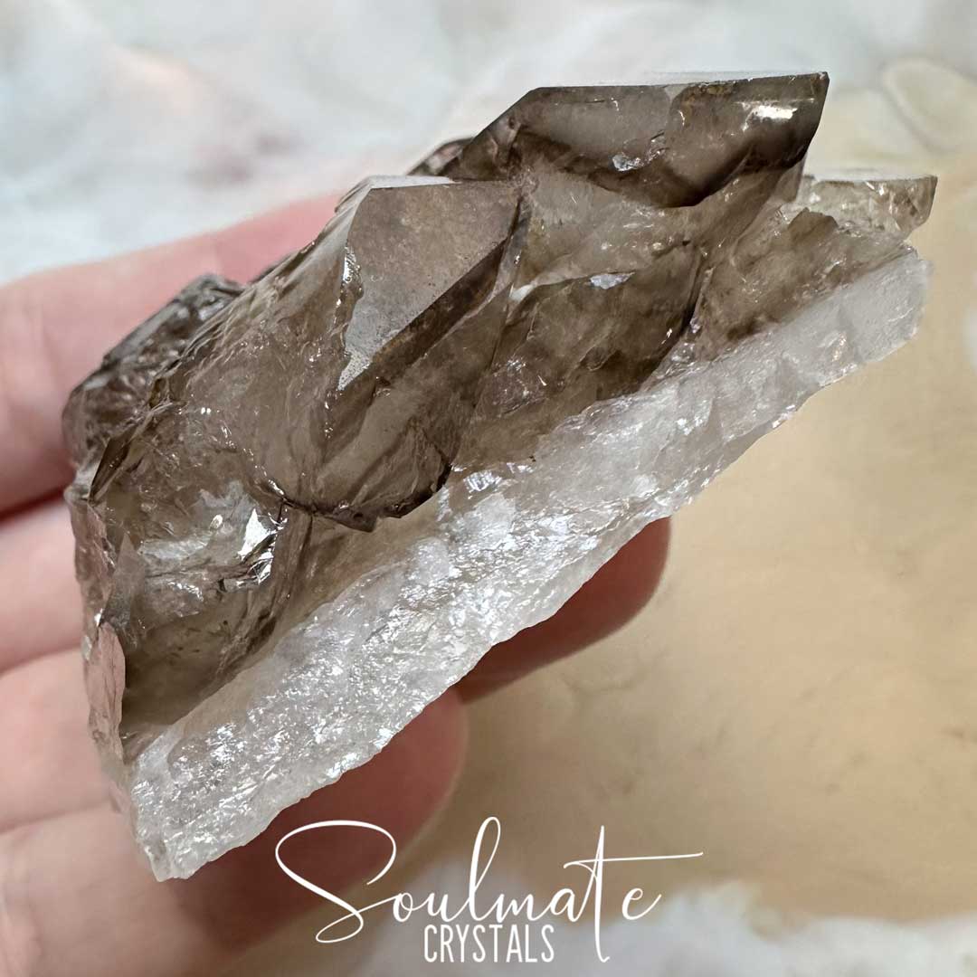 Soulmate Crystals Smoky Quartz  Jacaré Elestial Raw Natural Mineral Specimen, Unpolished Smoky Brown Quartz Crystal Rock for Grounding, Intuition, Spiritual Development, Higher Consciousness, Wisdom, Clarity, Intentional Transformation.