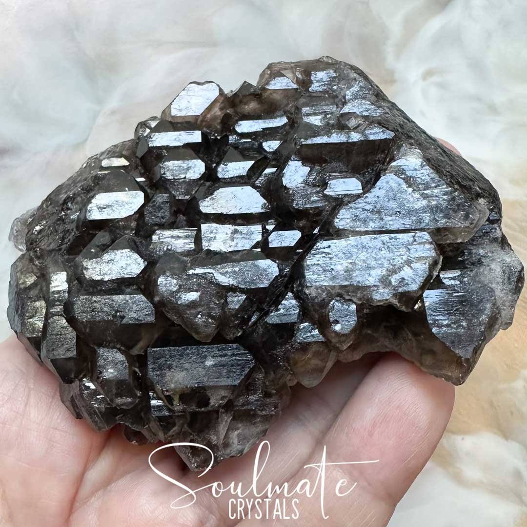 Soulmate Crystals Smoky Quartz  Jacaré Elestial Raw Natural Mineral Specimen, Unpolished Smoky Brown Quartz Crystal Rock for Grounding, Intuition, Spiritual Development, Higher Consciousness, Wisdom, Clarity, Intentional Transformation.