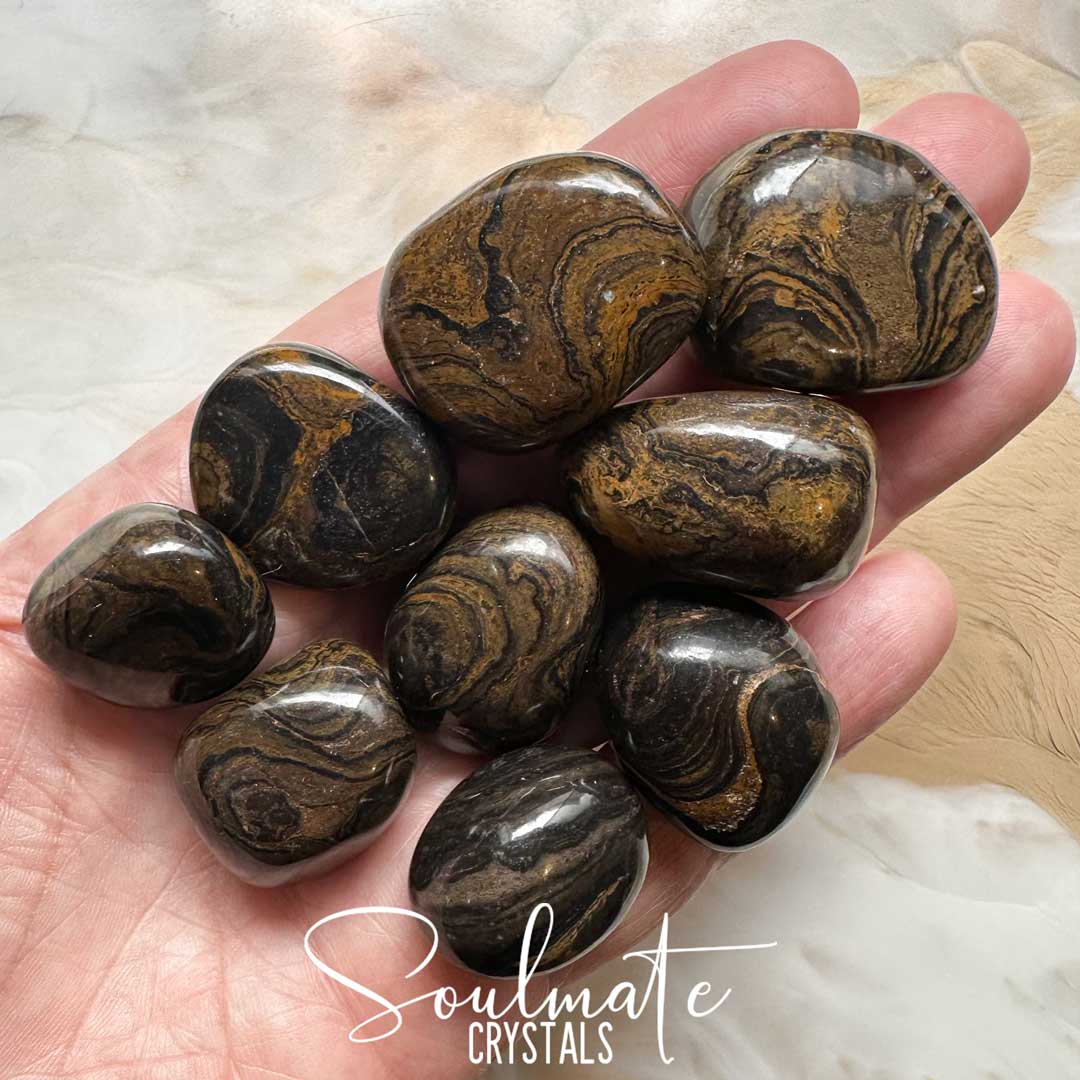 Soulmate Crystals Stromatolite Tumbled Stone, Golden-Brown Crystal for Strength, Stability, Peacefulness, Restoration.