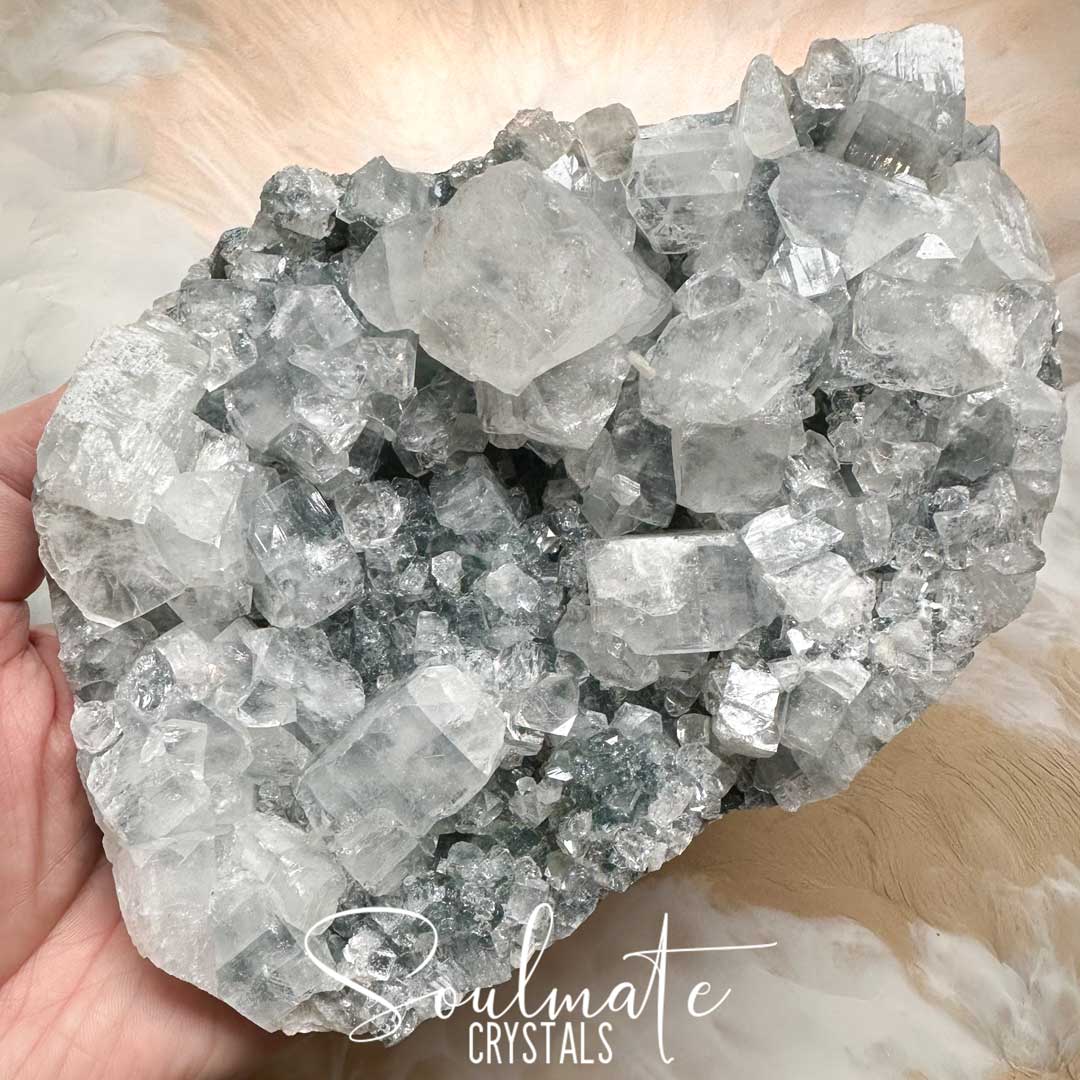 Soulmate Crystals Zeolite Apophyllite Chalcedony Black Raw Mineral Specimen First Quality, Clear Crystals on Druzy Black Rock for Cleansing, Serenity, Light, Harmonising, Energetic Transformation, Nurturing, Intuition, Negative Thought Pattern Removal, Wisdom, Alignment.