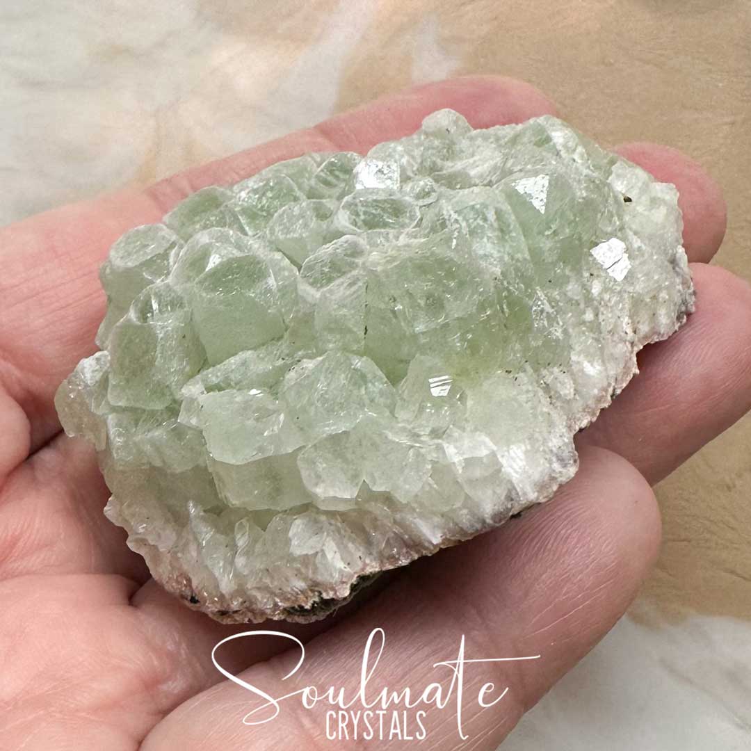 Soulmate Crystals Zeolite Apophyllite Green Cubic Raw Natural Mineral Specimen, Rare, High Vibration Crystal for Harmony, Energetically Transform Your Space with Healing Crystals