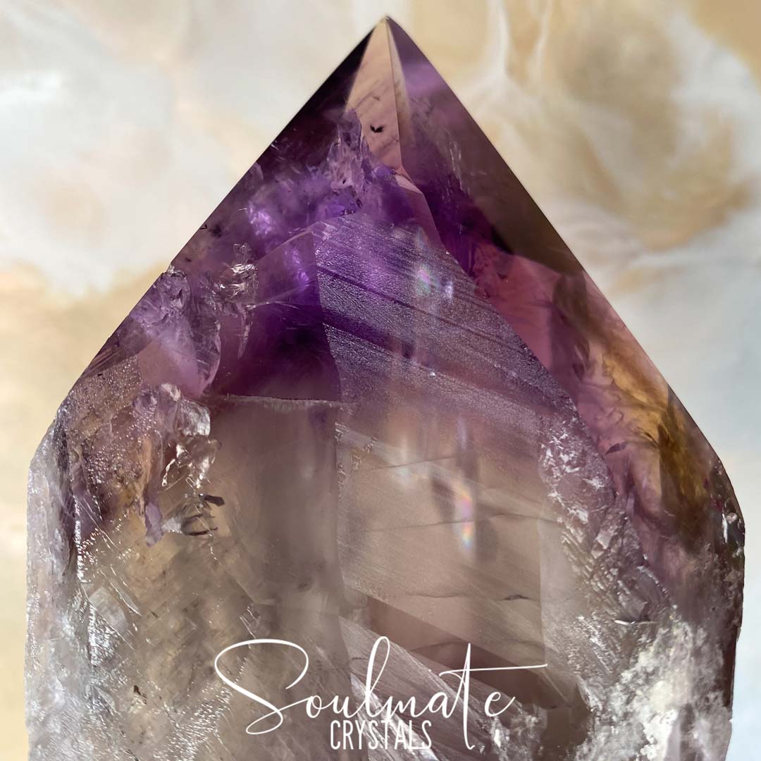 Soulmate Crystals Amethyst Dragon Tooth Raw, Partially Polished Wand, Purple Crystal Sceptre for Calm, Serenity and Reduce Anxiety, Size Giant, Bahia, Brazil