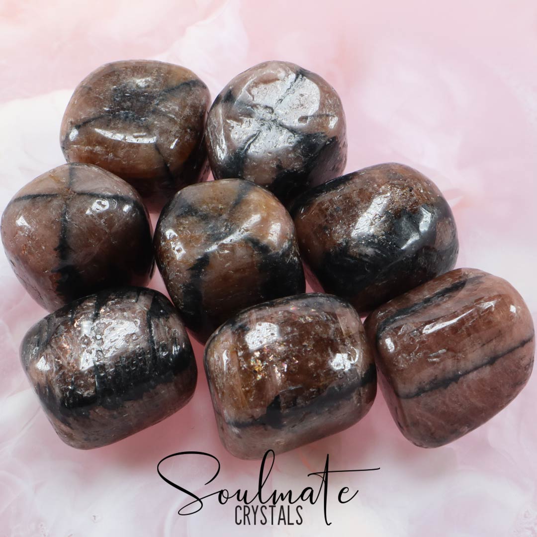 Soulmate Crystals Chiastolite Tumbled Stone, Polished Andalusite with Black Graphite Cross, Light Brown Crystal for Spiritually Protective, Transition and Stabilizing, Size XL, Extra Large