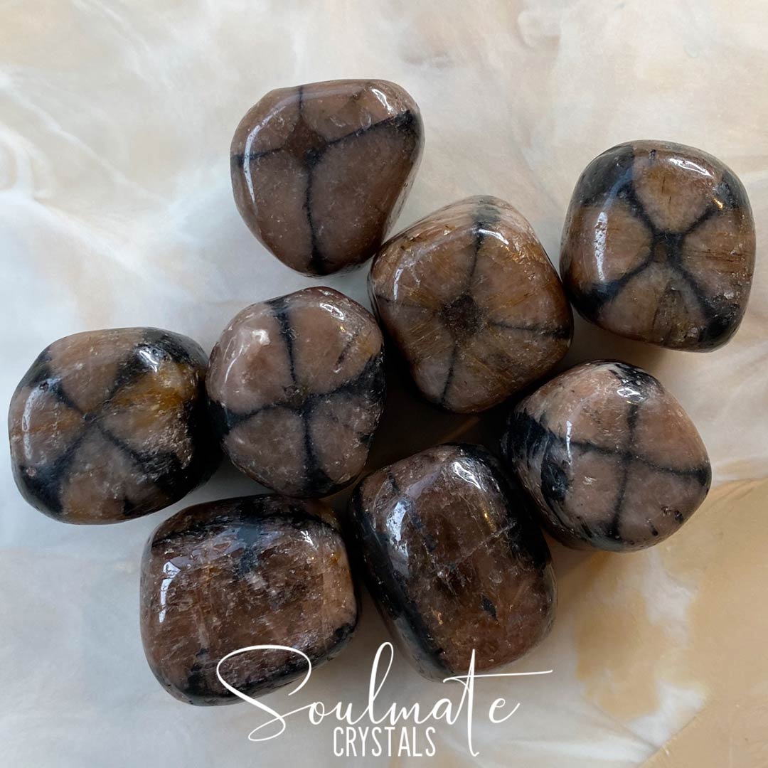 Soulmate Crystals Chiastolite Tumbled Stone, Polished Andalusite with Black Graphite Cross, Light Brown Crystal for Spiritually Protective, Transition and Stabilizing, Size XL, Extra Large