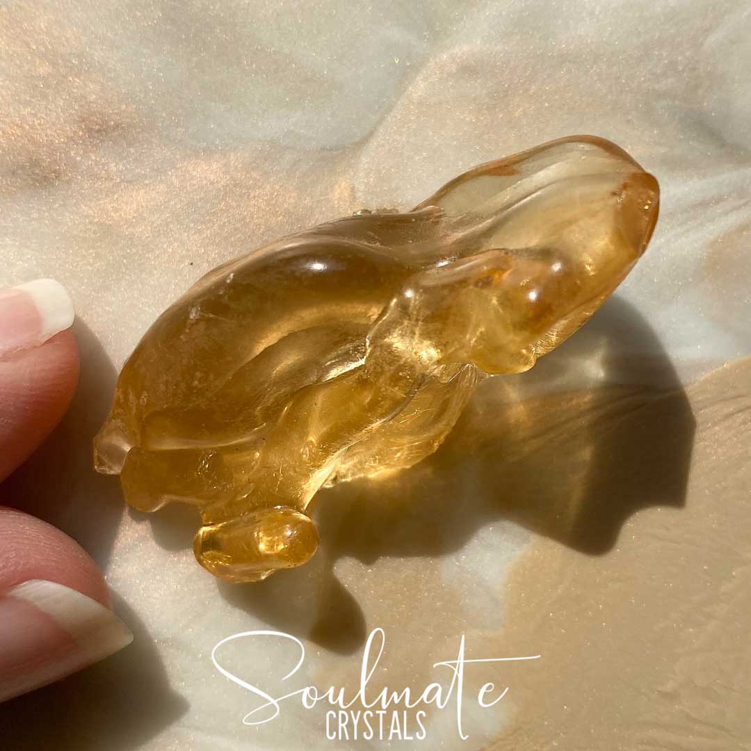 Soulmate Crystal Copal Raw Natural Bio-Crystal, Gold Fossilized Tree Resin for Space Cleansing, Purification, Positivity, Earthy, Resin Incense.