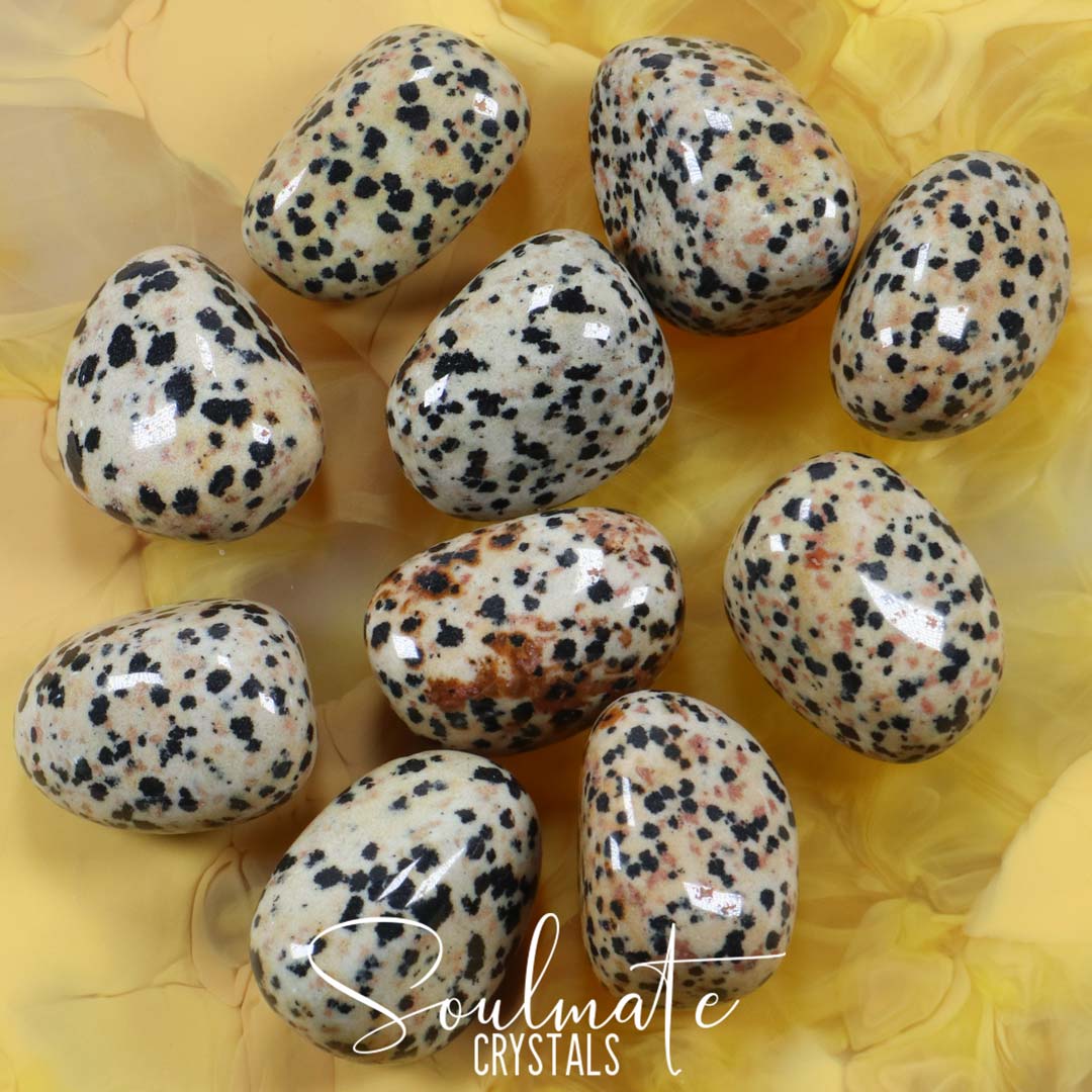 Soulmate Crystals Dalmation Stone Tumbled Stone, Cream Polished Stone with Black Spots, Neutral to Brown Rock, Size Large, Extra Quality Grade