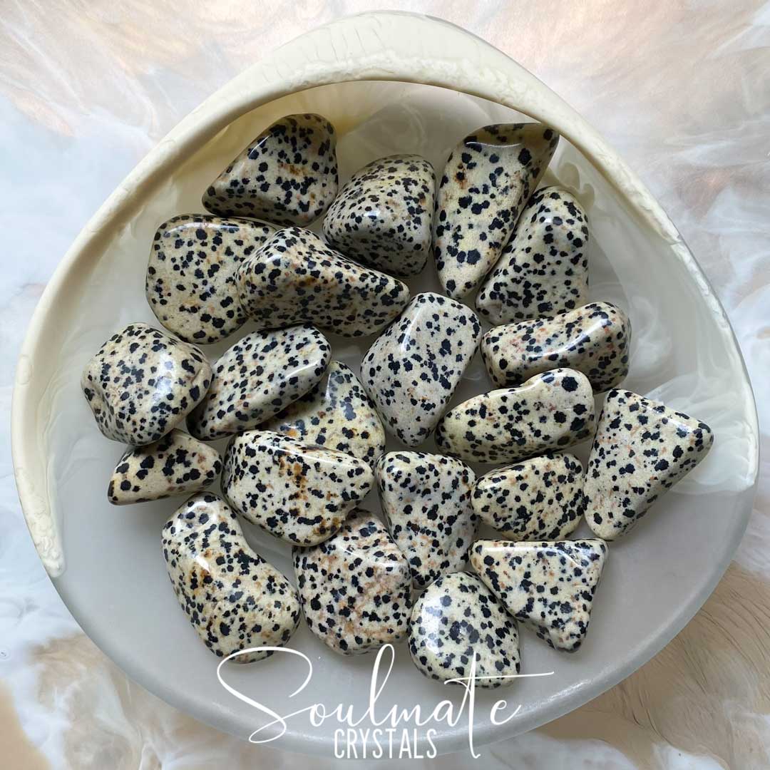 Soulmate Crystals Dalmation Stone Tumbled Stone, Cream Polished Stone with Black Spots, Neutral to Brown Rock, Size M-L, Medium to Large