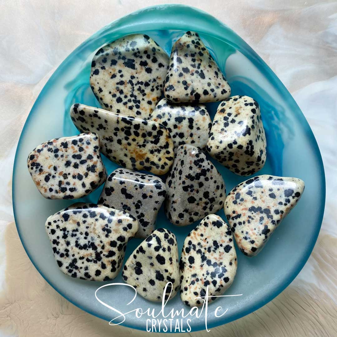 Soulmate Crystals Dalmation Stone Tumbled Stone, Cream Polished Stone with Black Spots, Neutral to Brown Rock, Size S-M, Small to Medium