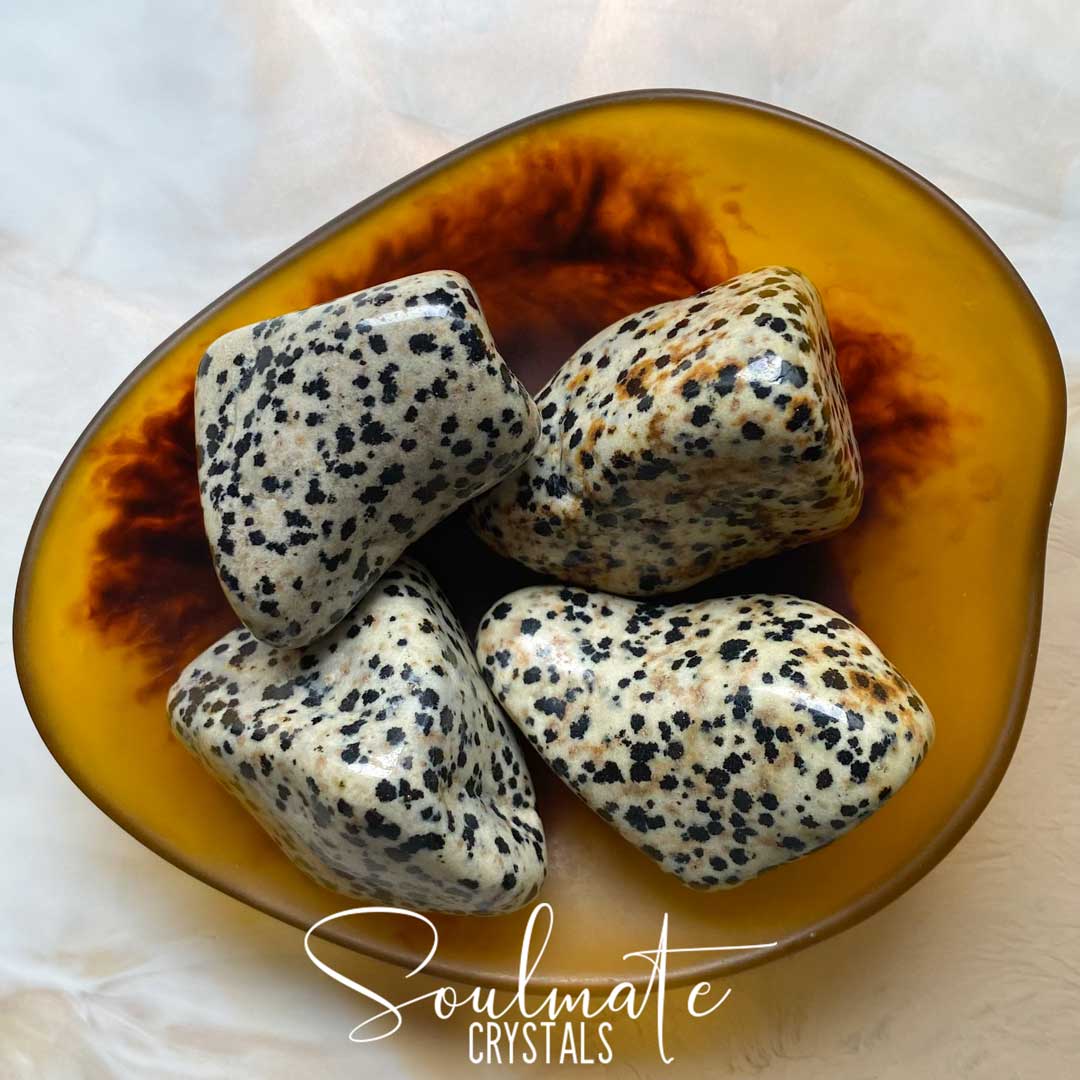 Soulmate Crystals Dalmation Stone Tumbled Stone, Cream Polished Stone with Black Spots, Neutral to Brown Rock, Size XXL
