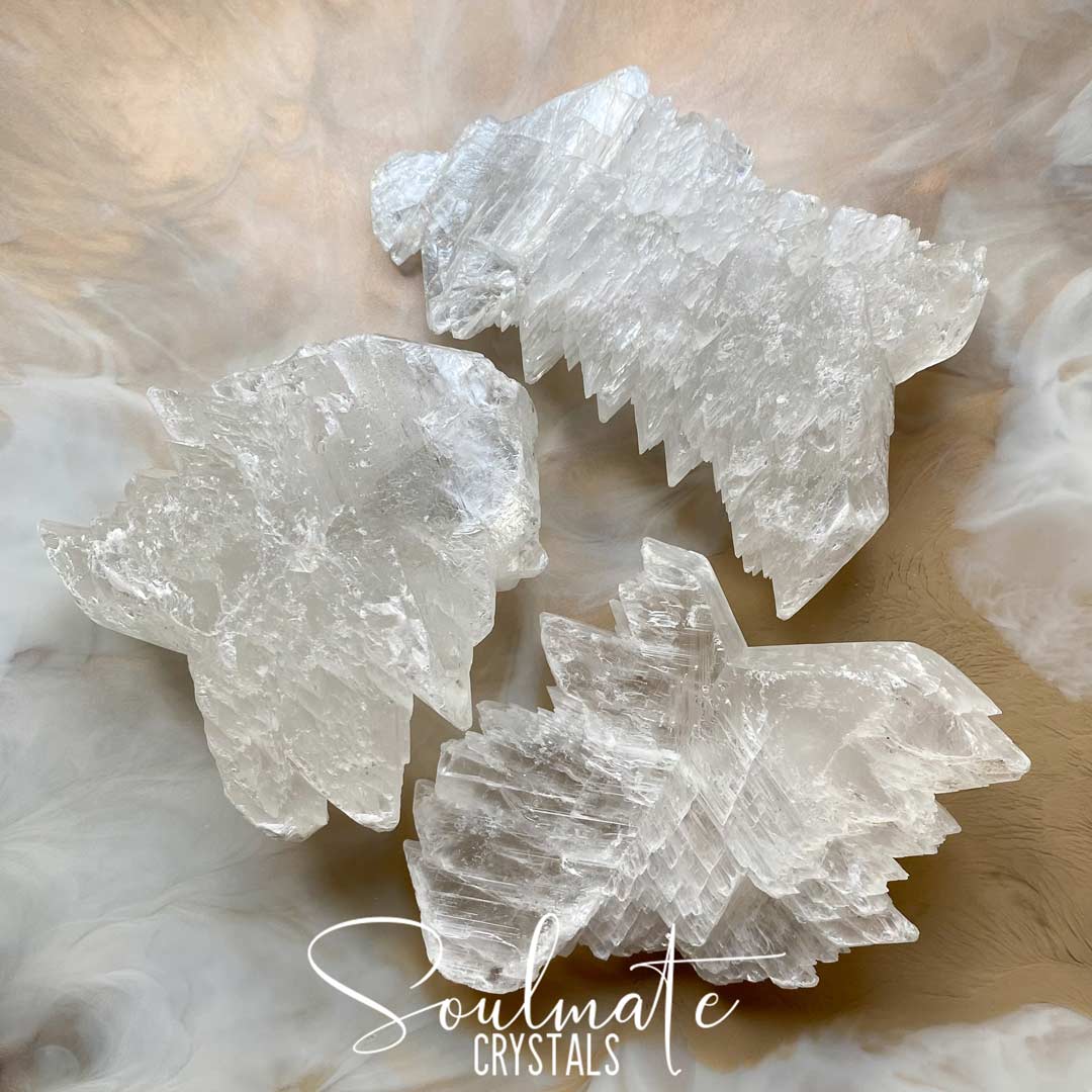 Soulmate Crystals Fishtail Selenite Raw Mineral Specimen, White Crystal for Peace and Harmony