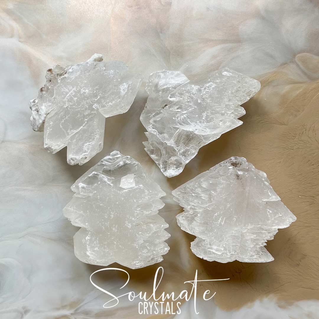 Soulmate Crystals Fishtail Selenite Raw Mineral Specimen, White Fibrous Gypsum Crystal for Energetic Cleansing, Angel Wing Selenite.