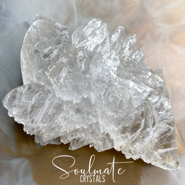 FISHTAIL SELENITE RARE MINERAL SPECIMEN - Soulmate Crystals