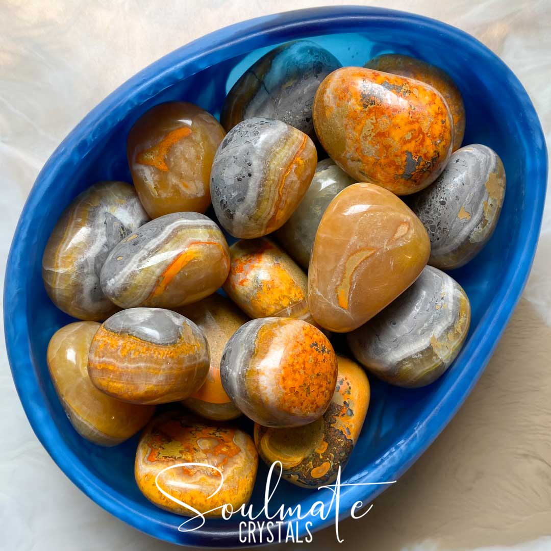 Soulmate Crystals Bumblebee Jasper Eclipse Stone Tumbled Stone, Vibrant Black-Grey Patterned Yellow Crystal for Manifestation.