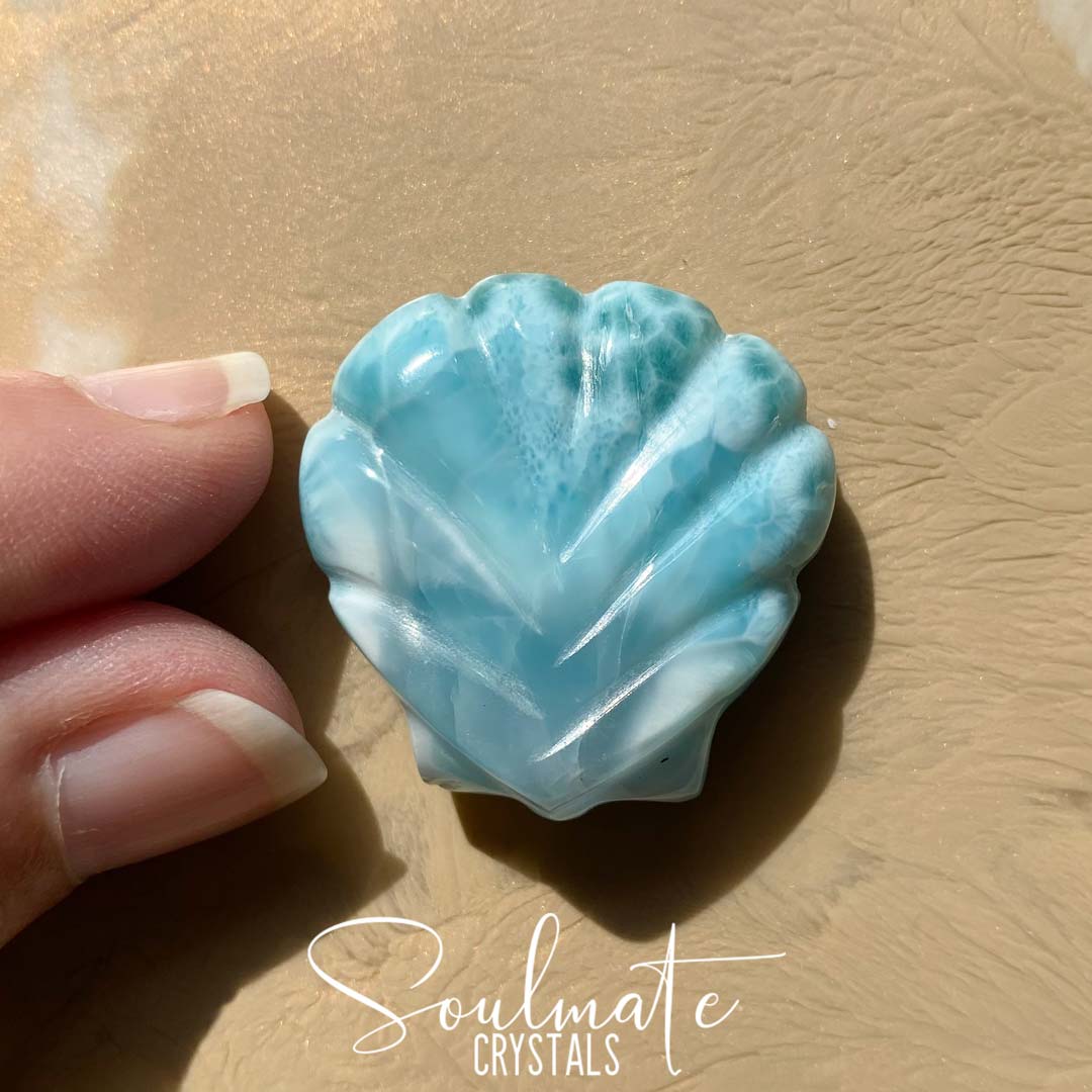 Soulmate Crystals Larimar Polished Crystal Sea Shell, Rare Blue Crystal for Truth, Love, Peace, Harmony