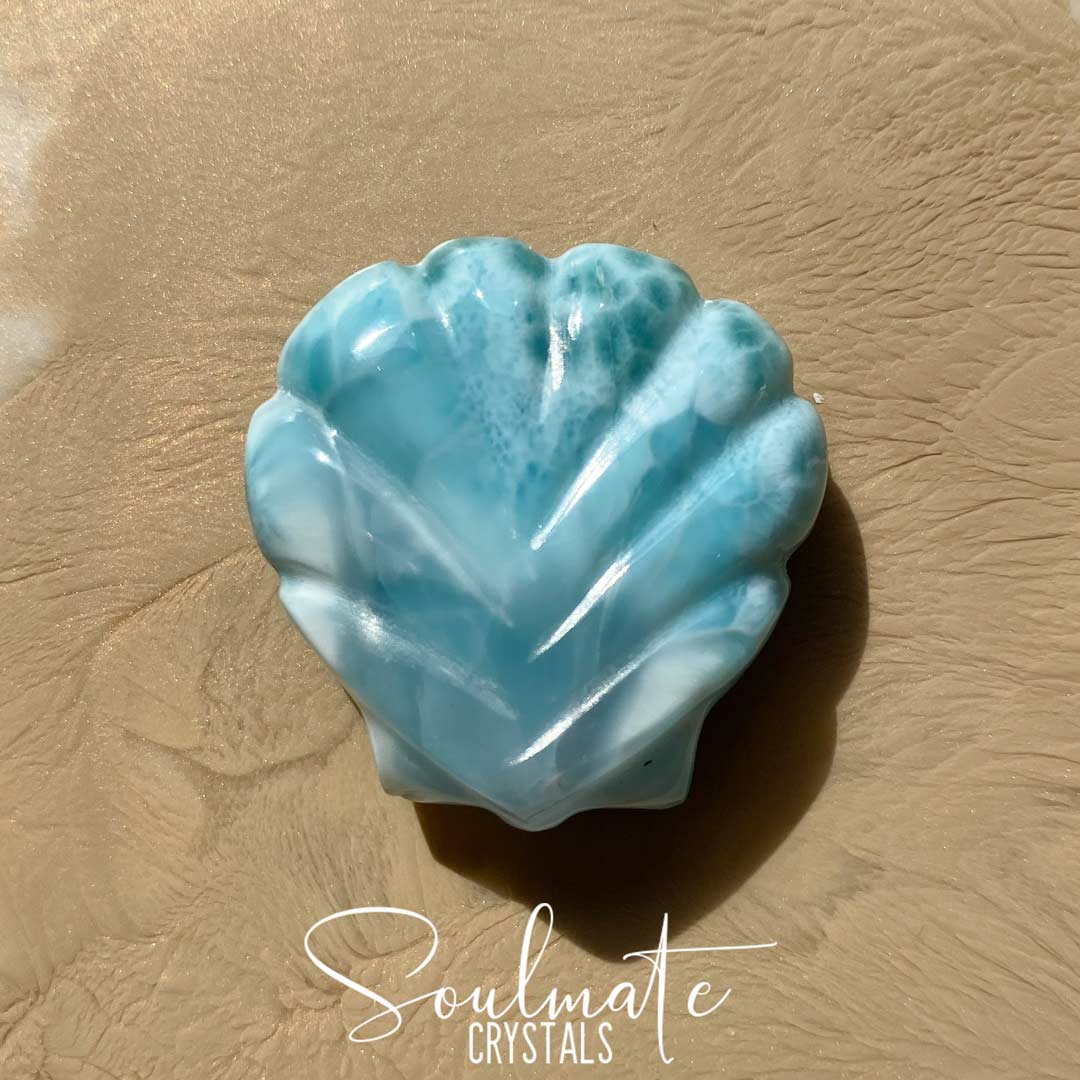 Soulmate Crystals Larimar Polished Crystal Sea Shell, Rare Blue Crystal for Truth, Love, Peace, Harmony