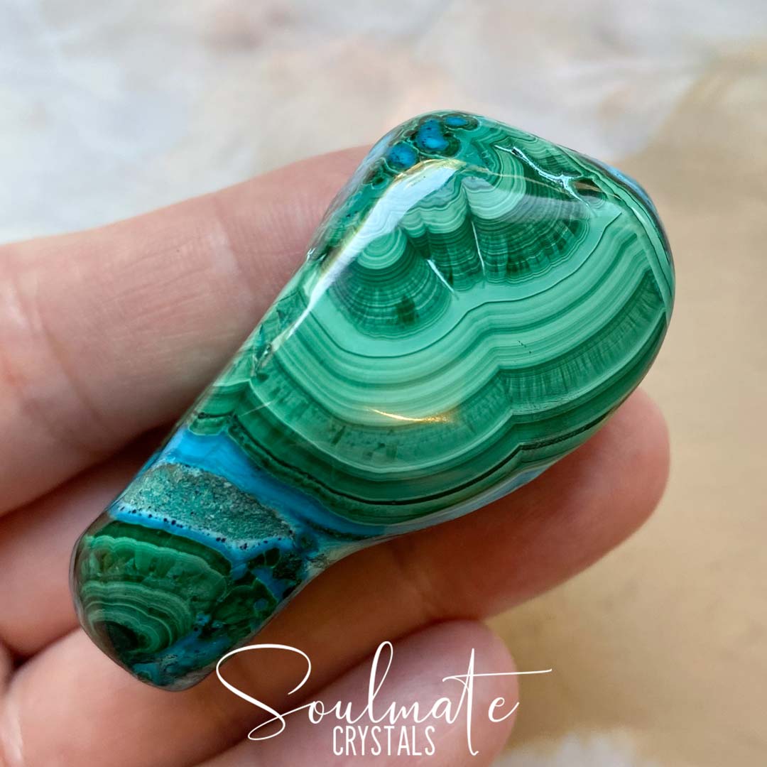 Soulmate Crystals Malacolla Polished Crystal Energy Stone, Crystal Freeform, Combination Blue Green Crystal of Malachite and Chrysocolla for Protection, Detoxification and Transformation.