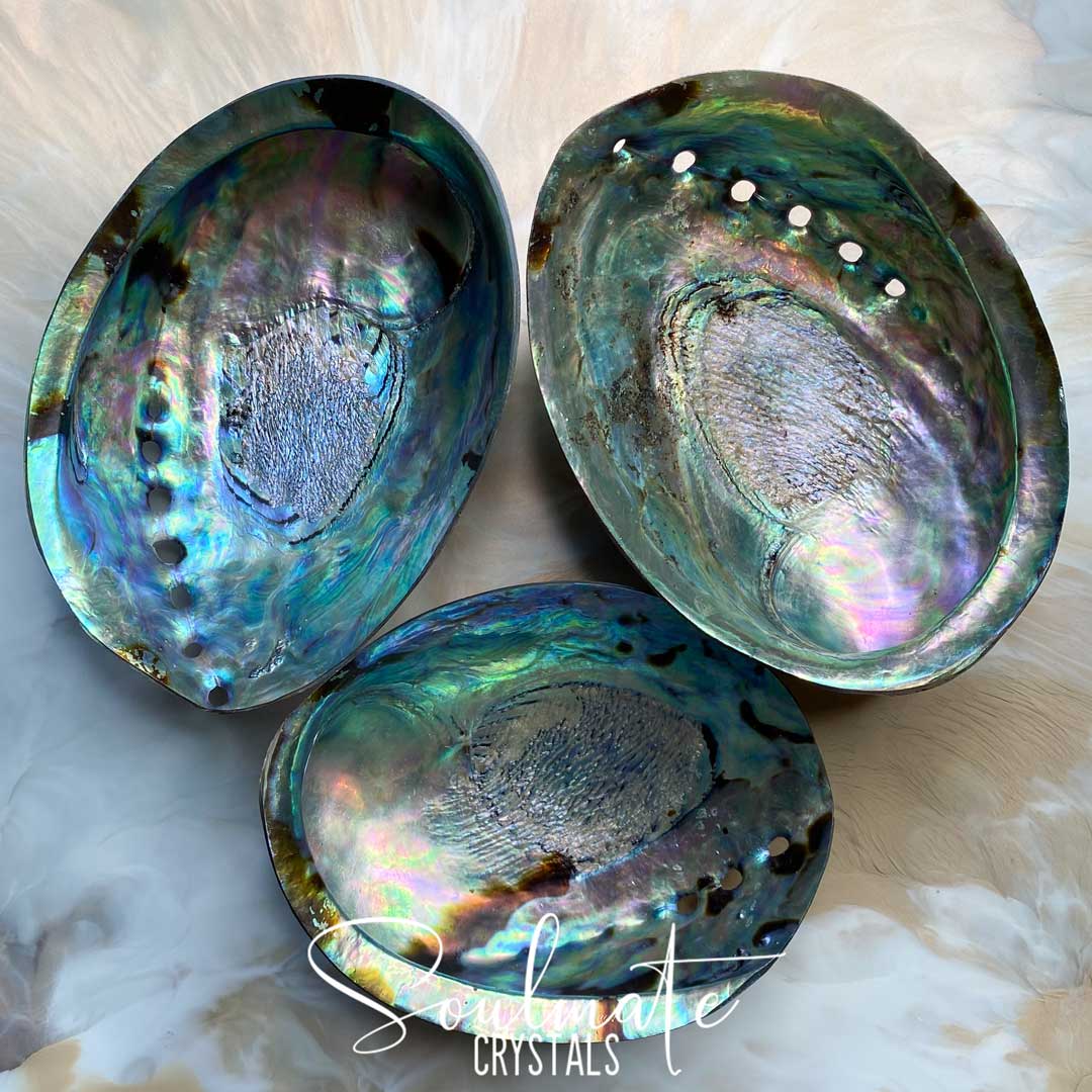 Soulmate Crystals Paua Natural Polished Shell for Smoke Cleansing Rituals, Trinket Dish.
