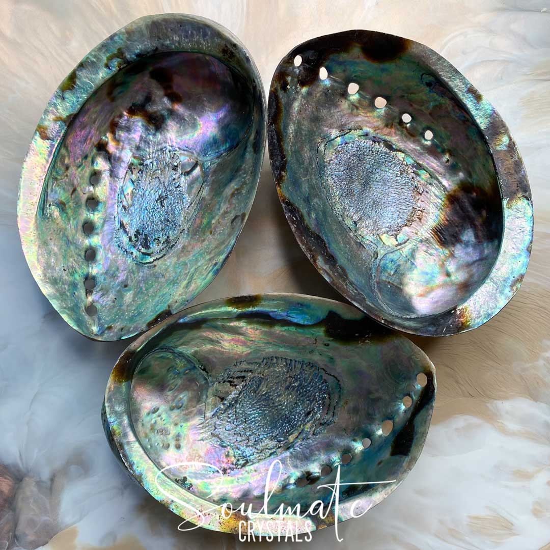 Soulmate Crystals Paua Natural Polished Shell for Smoke Cleansing Rituals, Trinket Dish.