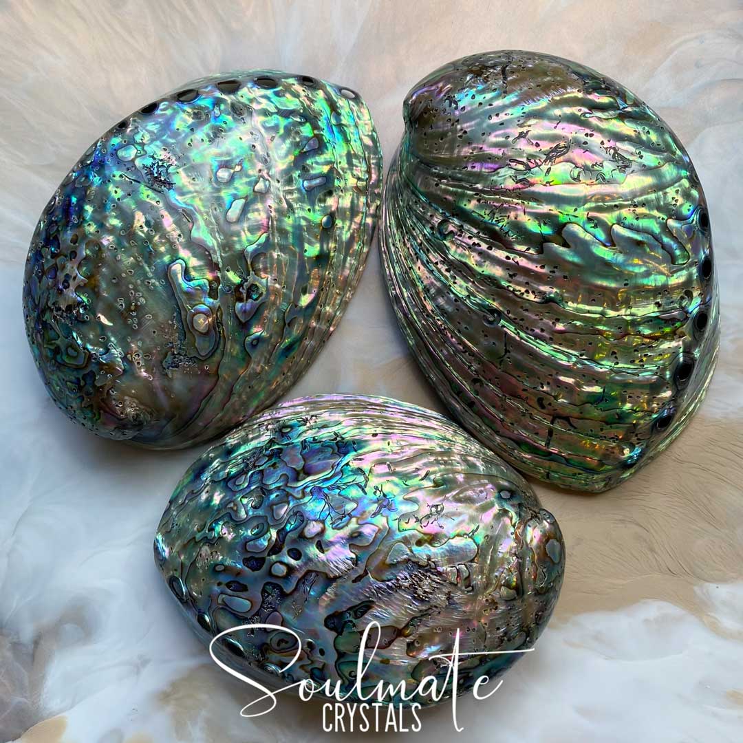Soulmate Crystals Paua Natural Polished Shell for Smoke Cleansing Rituals, Trinket Dish.